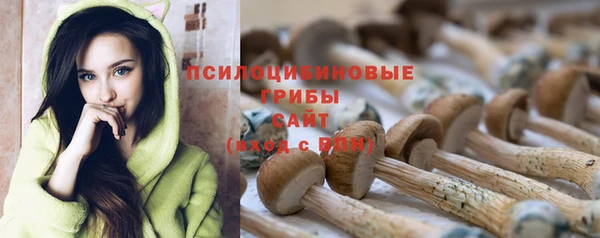 марки lsd Михайловск