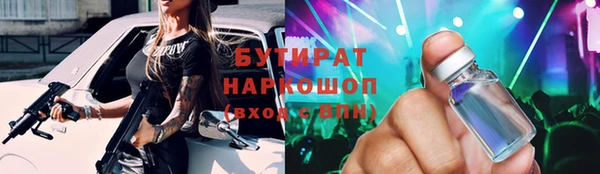 гидра Михайловка