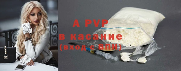 гидра Михайловка