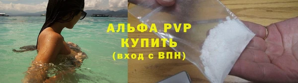 гидра Михайловка
