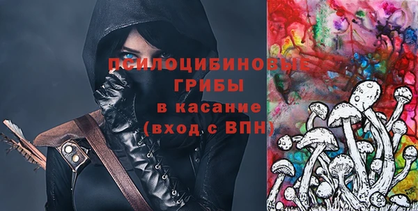 гидра Михайловка