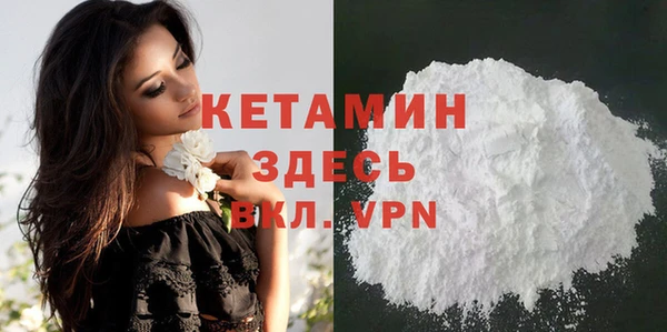гидра Михайловка